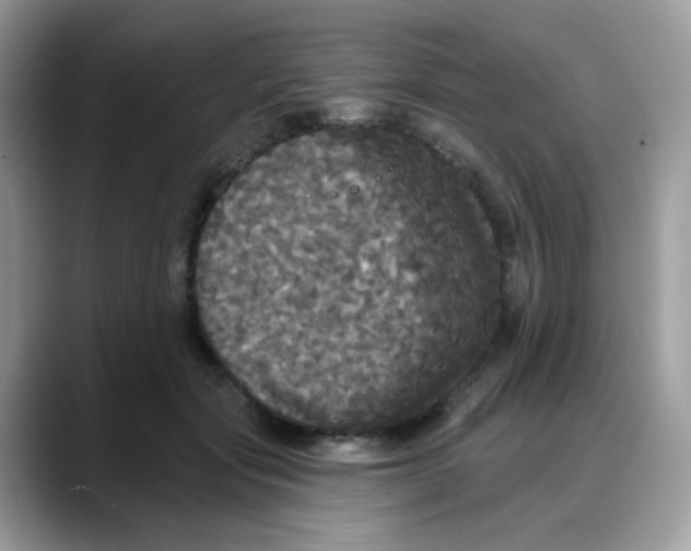 X0000088140557200706111427