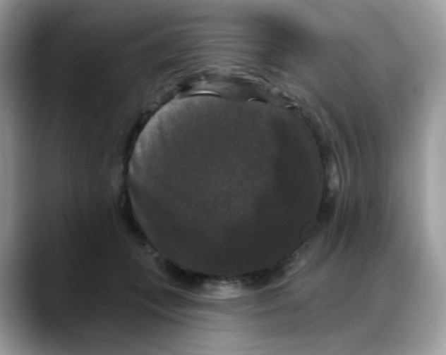 X0000088140559200706111427