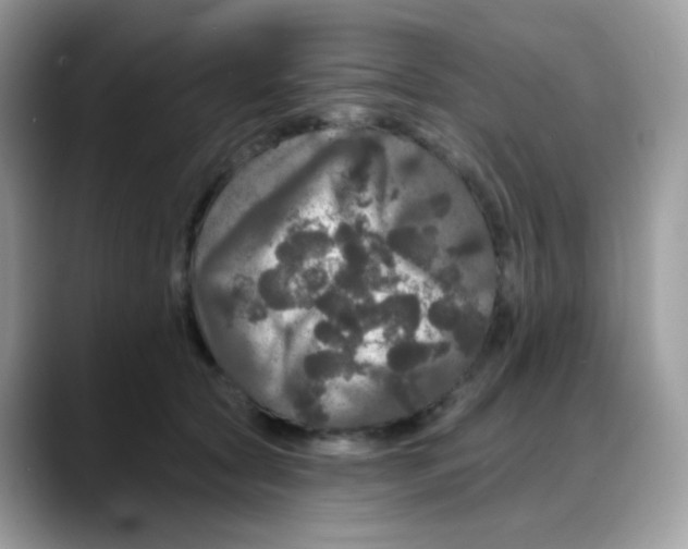 X0000088140561200706111427