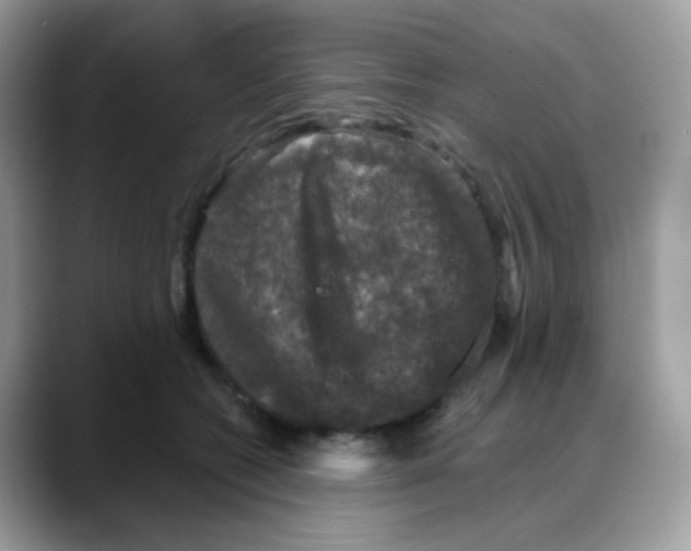 X0000088140562200706111427