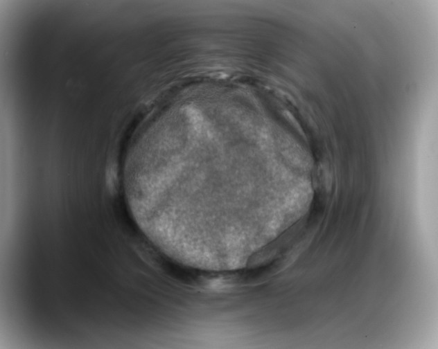 X0000088140564200706111427