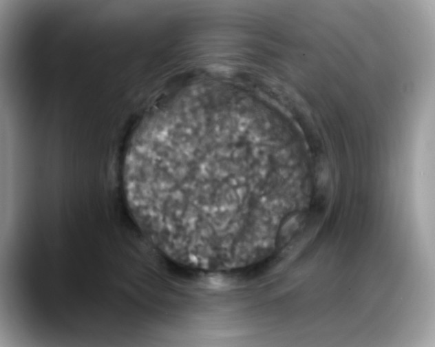 X0000088140565200706111427