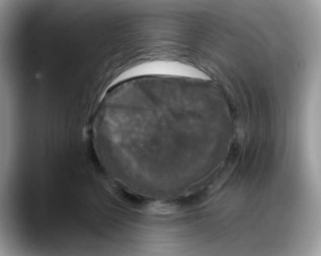 X0000088140568200706111427