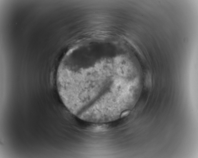 X0000088140569200706111427