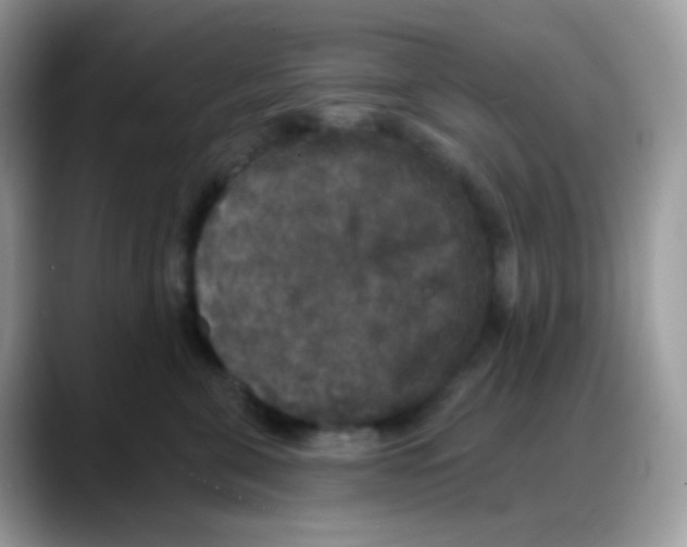 X0000088140571200706111427