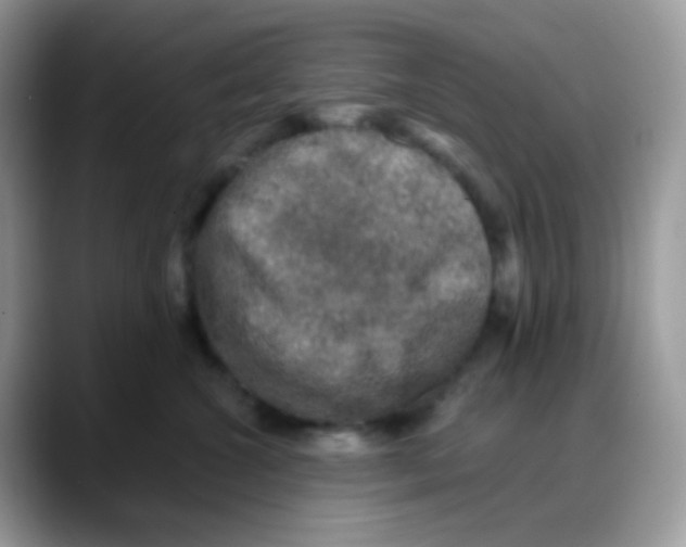 X0000088140572200706111427