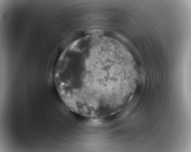 X0000088140573200706111427