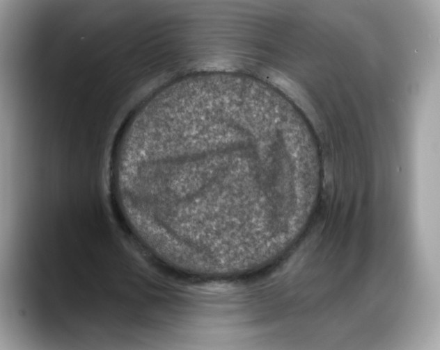 X0000088140578200706111427