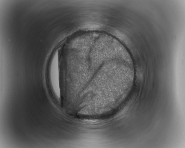 X0000088140582200706111427