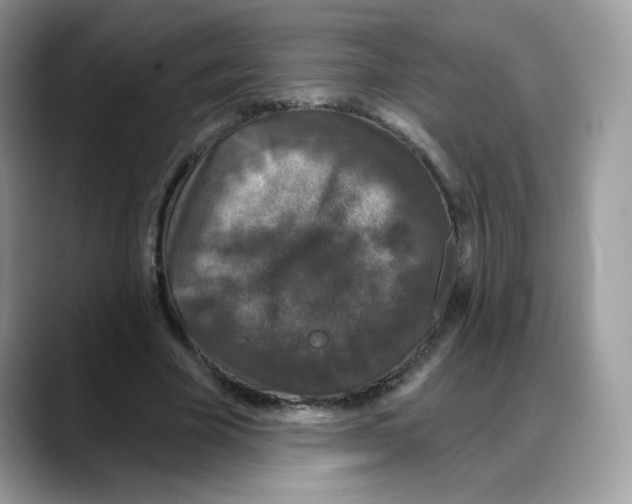 X0000088140585200706111427