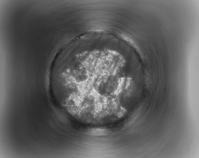 X0000088140586200706111427