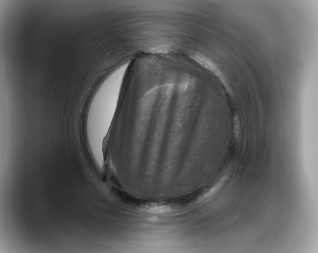 X0000088140589200706111427