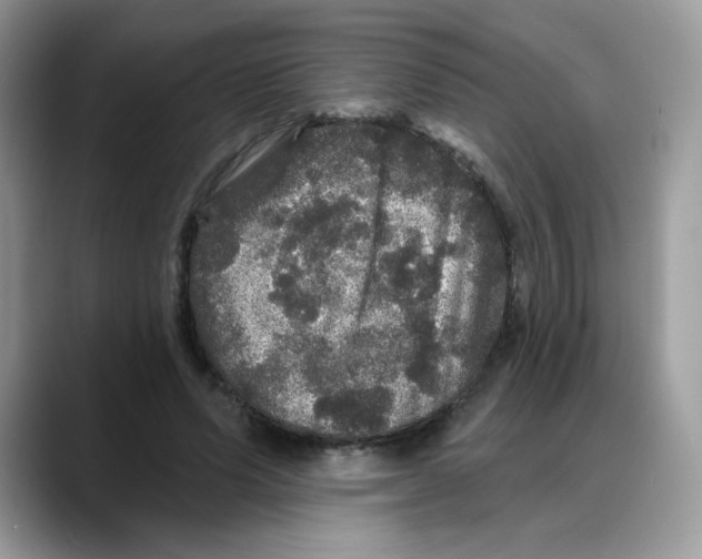 X0000088140591200706111427