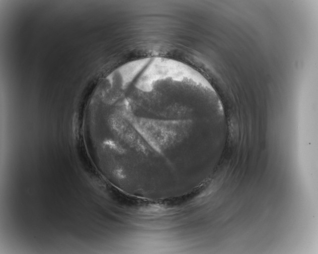 X0000088140594200706111427