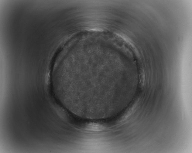 X0000088140596200706111427