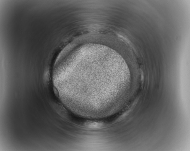 X0000088140597200706111427