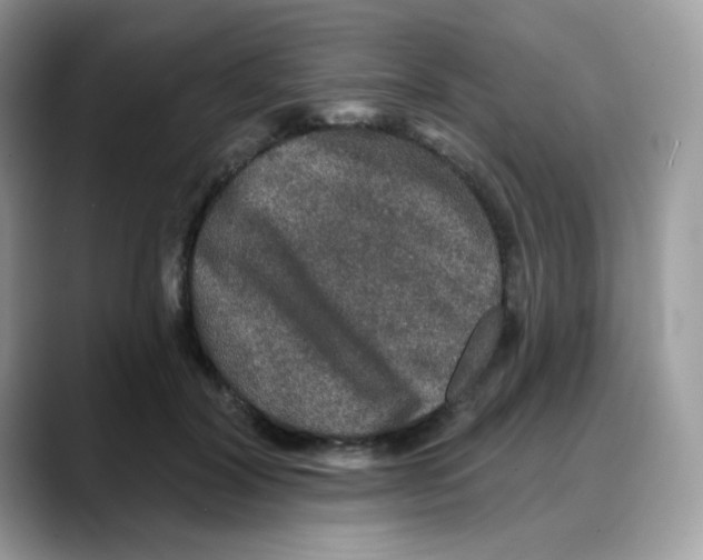 X0000088140604200706111427