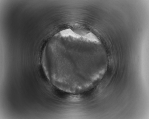 X0000088140606200706111427