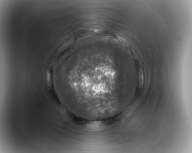 X0000088140609200706111426