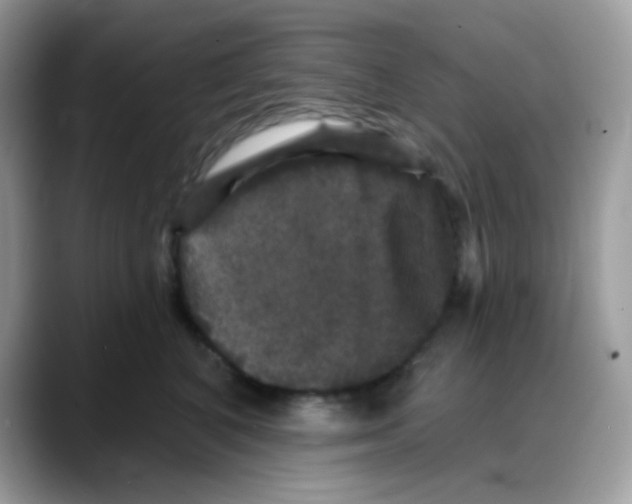 X0000088140616200706111426