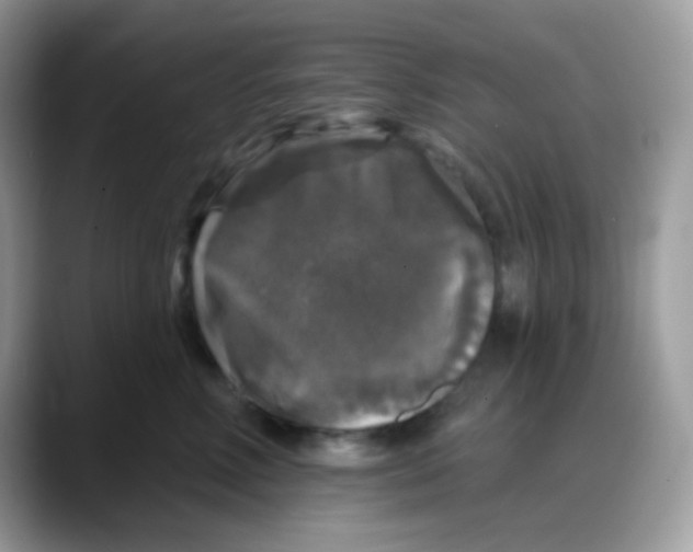 X0000088140618200706111426