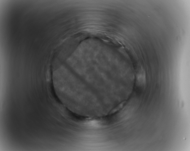 X0000088140620200706111426