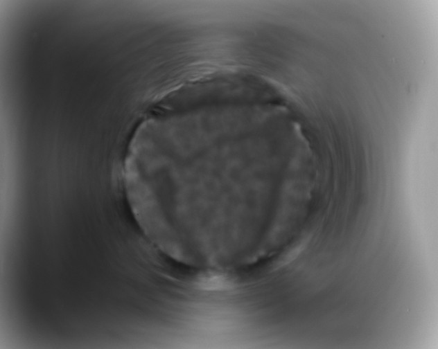 X0000088140624200706111426