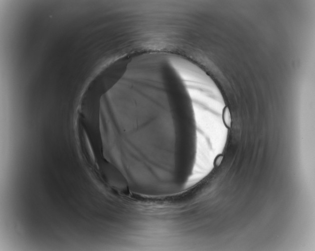 X0000088140626200706111426