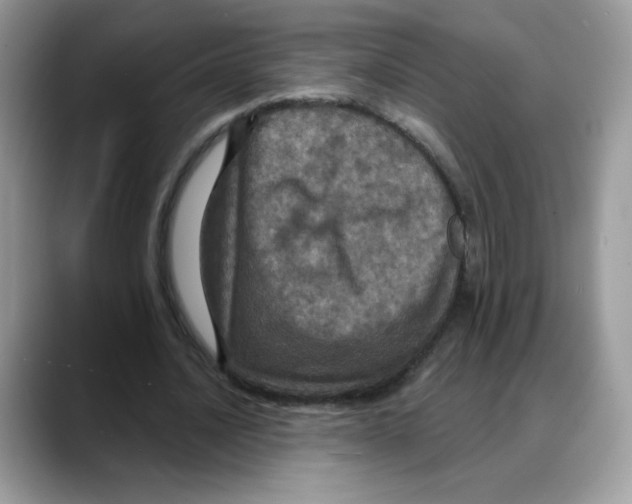 X0000088140628200706111426