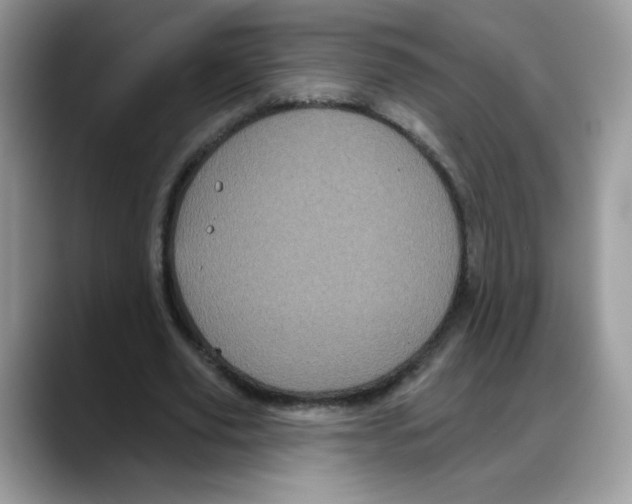 X0000088140629200706111426