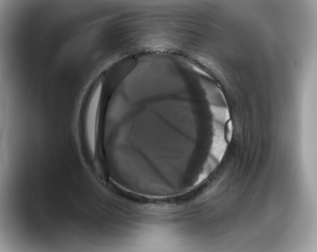 X0000088140630200706111426