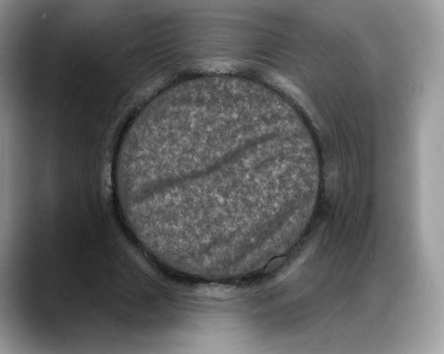 X0000088140633200706111426