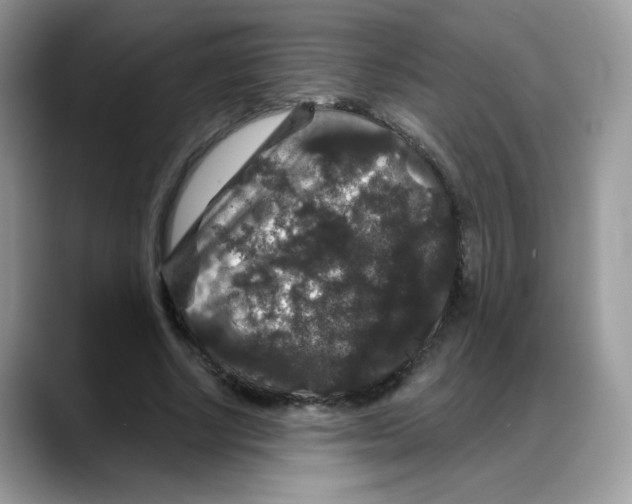 X0000088140634200706111426