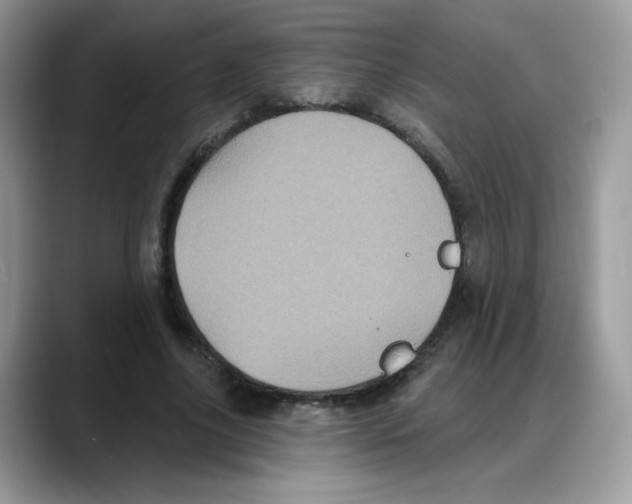 X0000088140635200706111426