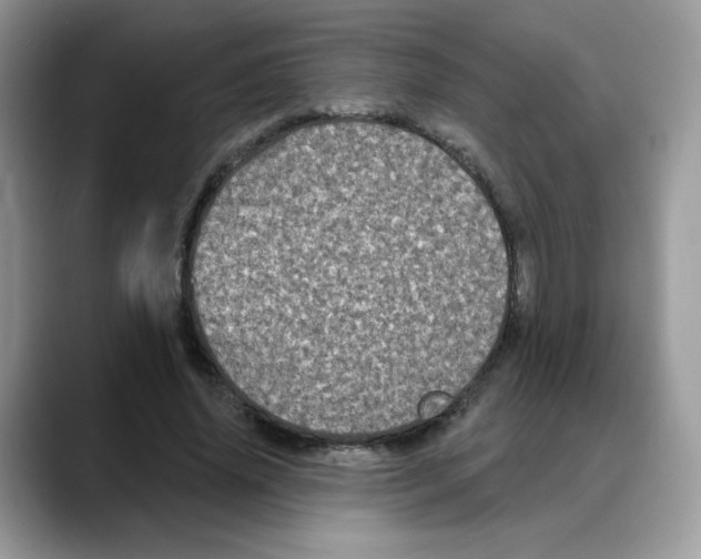 X0000088140636200706111426