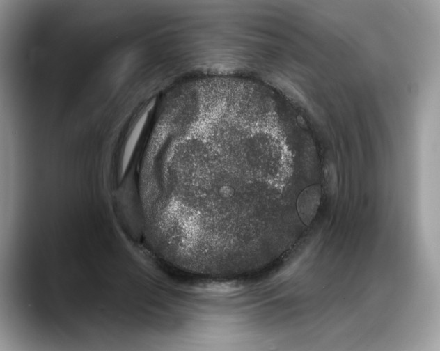 X0000088140638200706111426