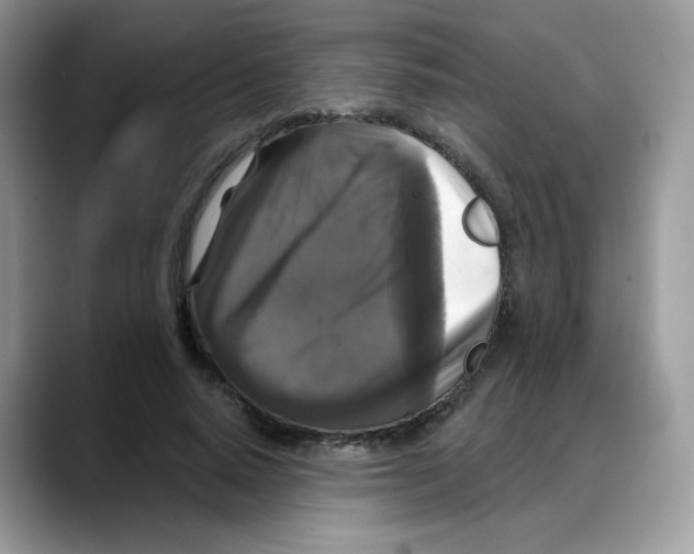 X0000088140640200706111426