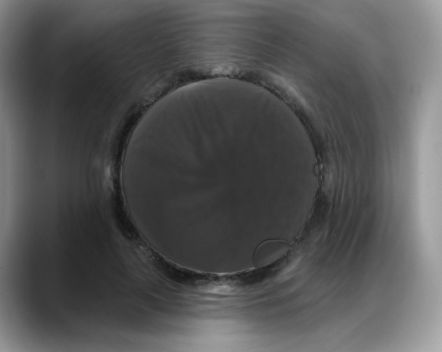 X0000088140643200706111426