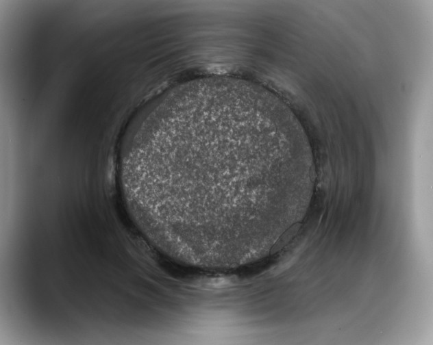 X0000088140646200706111426