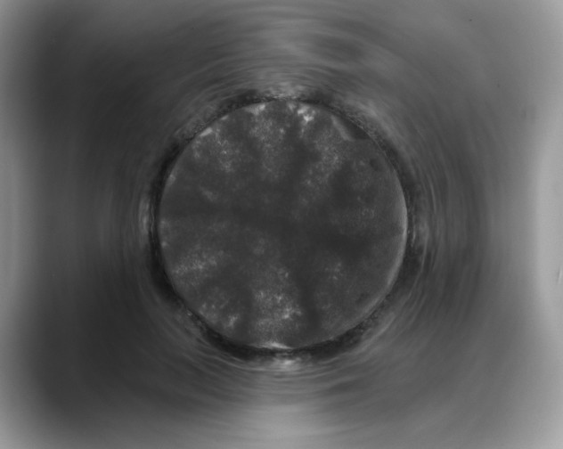 X0000088140647200706111426