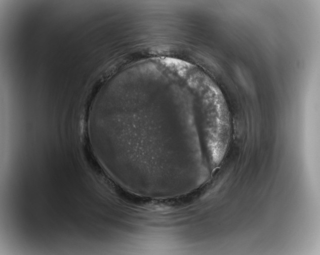 X0000088140648200706111426