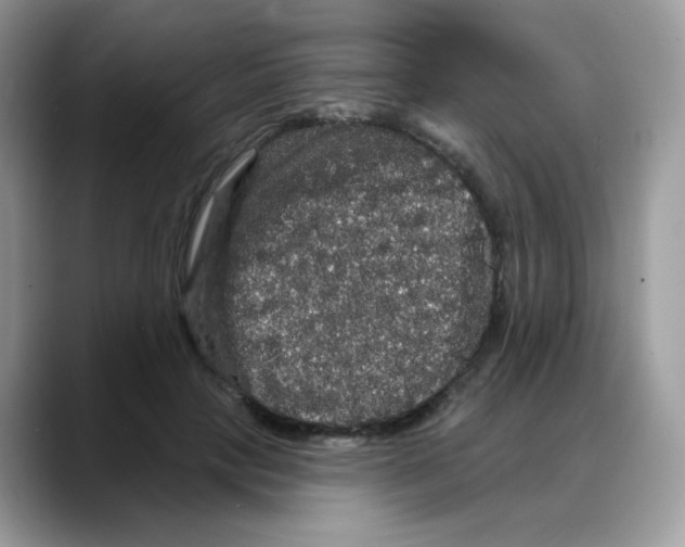 X0000088140649200706111426