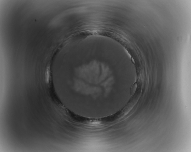 X0000088140651200706111426