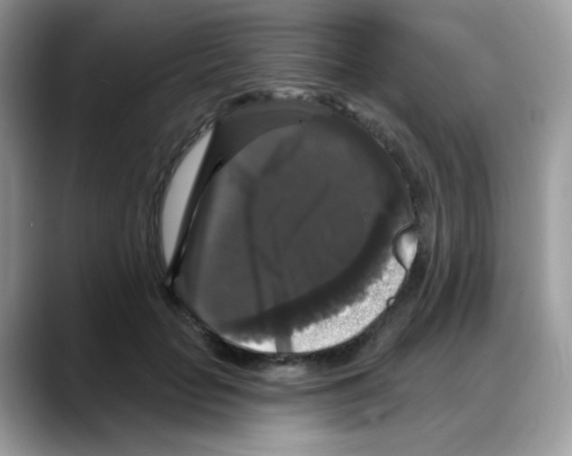 X0000088140653200706111426