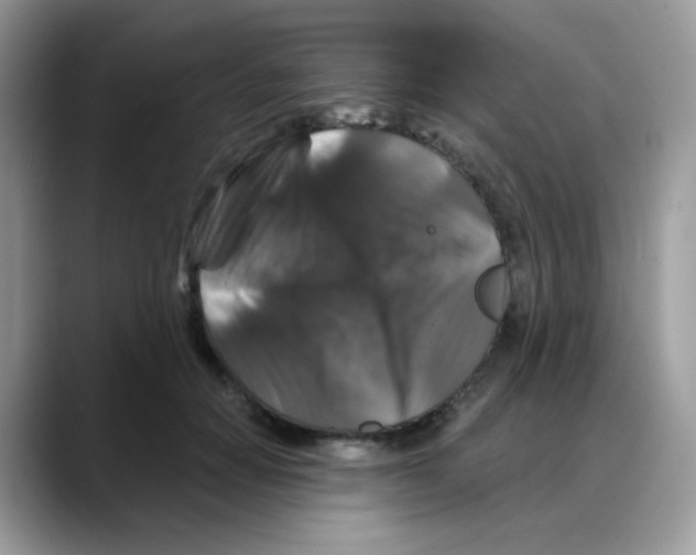 X0000088140654200706111426