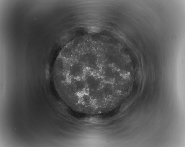 X0000088140655200706111426