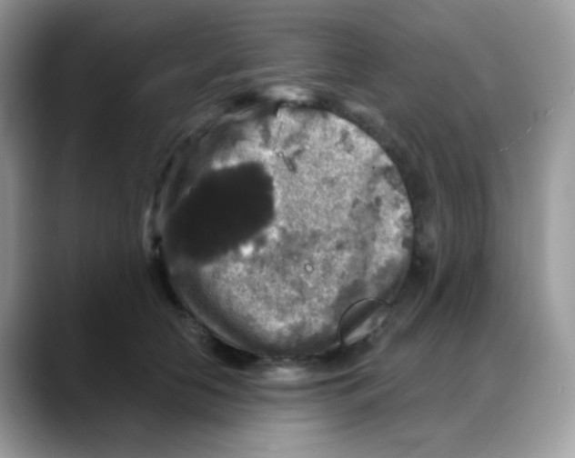 X0000088140658200706111426