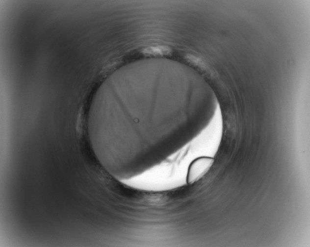 X0000088140659200706111426