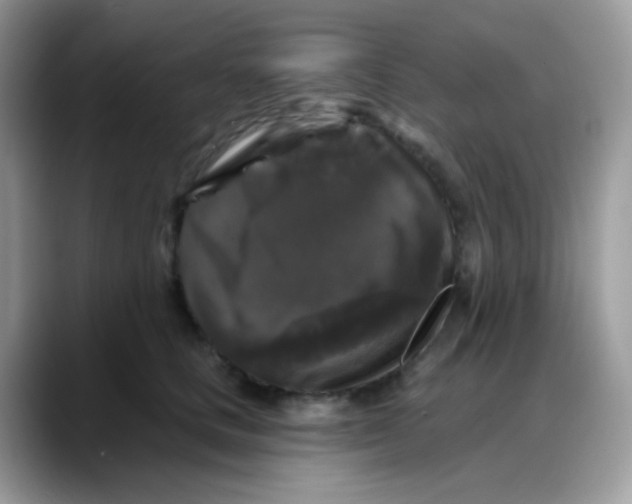 X0000088140661200706111426