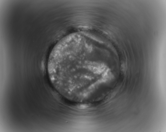 X0000088140662200706111426